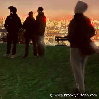 Listen to Fred again.. & Brian Eno's gorgeous collab album 'Secret Life'