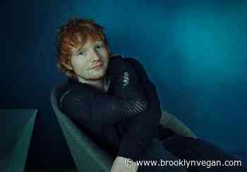 Ed Sheeran wins copyright case over Marvin Gaye song