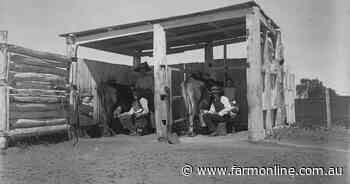 When a milk shake-up loomed in response to the problem of purity