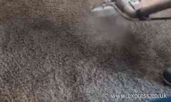 Homeowner discovers 'grey' carpet was just caked in dirt after professional cleaning