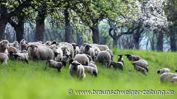 Wetter in Deutschland zweigeteilt