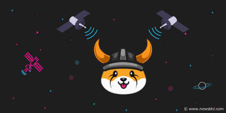 Floki Inu Rallies 40% In 24 Hours: Here’s Why