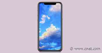 Is Bluesky the Next Twitter? Here's Everything to Know About This New Social Media Platform     - CNET