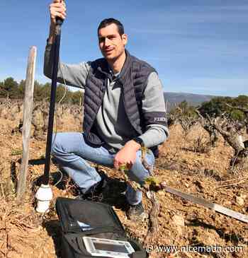 "Le vigneron n’a plus le choix", il doit s'adapter face au climat