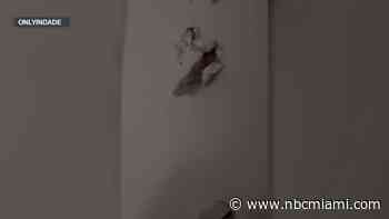 The Truth Behind Viral Video of Stranger Breaking Through Wall of Brickell Bathroom