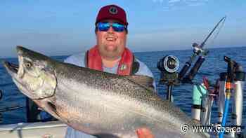 Lake Huron's Chinook salmon used to be king. 20 years after rapid decline, native fish back on top
