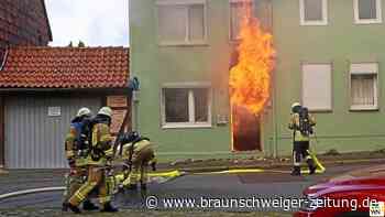 Hund überlebt Wohnungsbrand in Helmstedter Innenstadt nicht