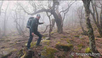 A Photography Tip With Proven Results