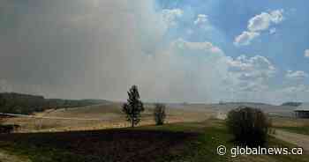 ‘We are helping ourselves’: Alberta rancher, union raise concerns about wildfire resources