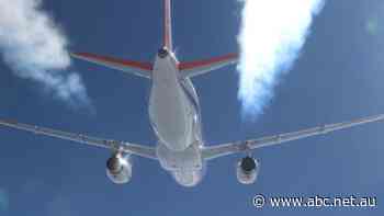 Sustainable aviation fuel to be produced in sugarcane country
