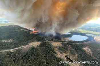 Alberta declares state of emergency due to fires, more than 24,000 out of homes