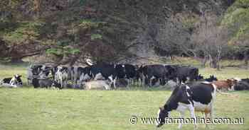 Research uncovers ways to mitigate summer pasture stress