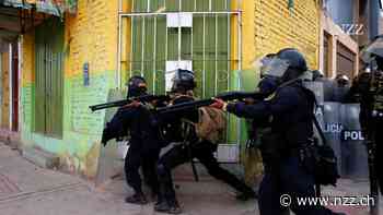 Menschenrechtsorganisationen prangern Perus Regierung wegen der gewaltsamen Niederschlagung von Protesten an