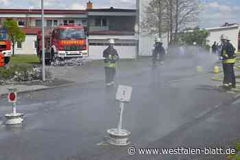 503 Feuerwehrleute aus 55 Einheiten üben in Warburg