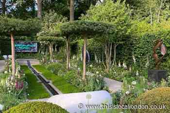 RHS Chelsea Flower Show 2023: Presenters, BBC schedule and themes