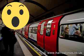 Commuters left over 250 sex toys on Transport for London services