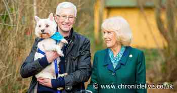 Queen Camilla's Coronation outfit included nod to beloved rescue dogs as viewers spot sweet detail