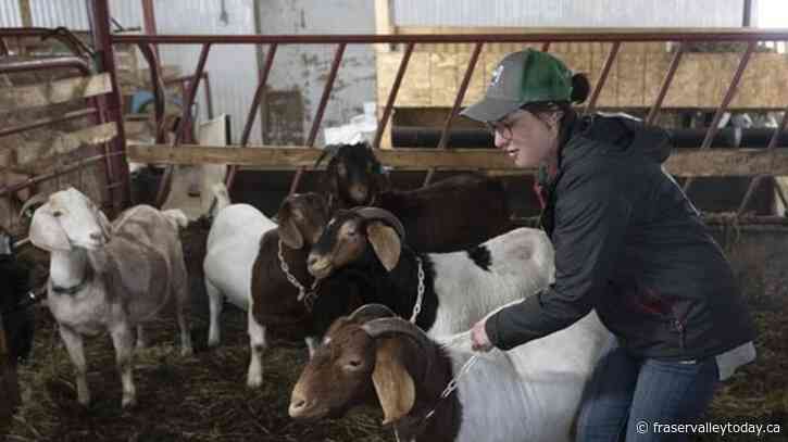 High costs putting farming out of reach for young people, affecting all Canadians
