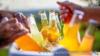 Kühltaschen und -boxen im Test: So bleibt das Bier kalt!