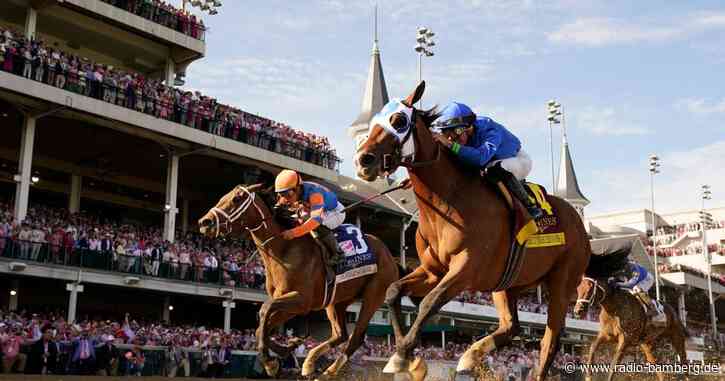 Sieben tote Pferde überschatten Galopp-Woche