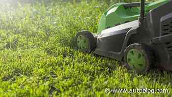 Best electric lawn mowers of 2023