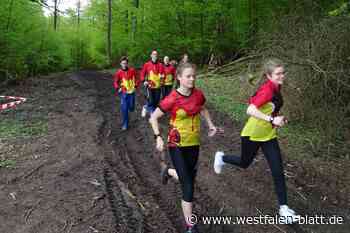 Willebadessen: 650 Sportler rennen durch die Egge