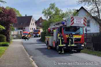 Vlotho: Gartenhütte und Carport brennen