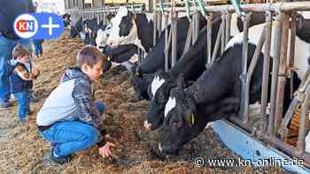 Tag des offenen Hofes: Großereignis in Futterkamp lockt 10 000 Besucher