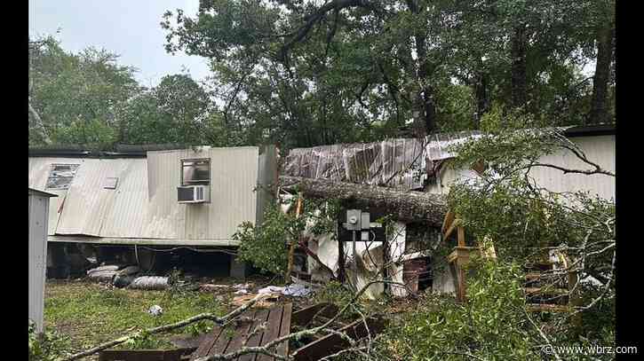 Central woman rescued after tree falls in storm