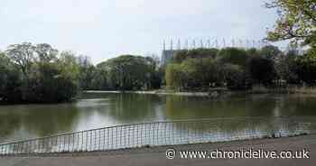 Vicar 'flabbergasted' over lack of action to improve safety at Leazes Park lake in Newcastle