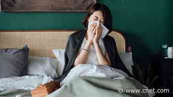 Allergy-Proof Your Bedroom With These Tips and Tricks     - CNET