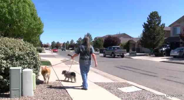 Rio Rancho woman pushes leaders to better protect dog attack victims