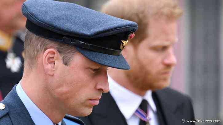Prince William, Prince Harry 'playing with fire' as King Charles 'too weak' to mend feud, expert claims