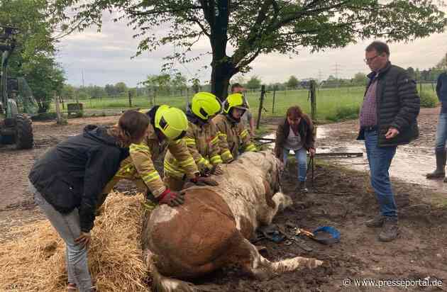 FW Ratingen: Pferd versinkt in matschigem Erdreich - nicht alltäglicher Einsatz für die Feuerwehr Ratingen