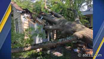 Large tree falls on home in Durham, family of 5 inside at the time