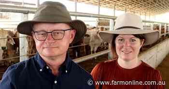 Vet sent to Indonesia to help combat spread of livestock diseases