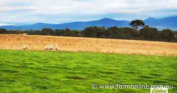 Grampians' farm hasn't been cropped since the 1960's