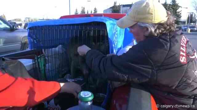 City of Calgary, pet food bank offer help to wildfire evacuees