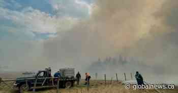 Alberta rancher, union raise concerns about wildfire resources: ‘We are helping ourselves’