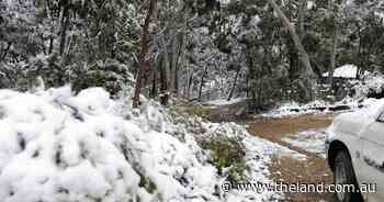 Wintery blast causes major airport cancellations