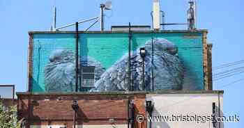 Upfest searching for Weston-super-Mare buildings to paint more massive murals on