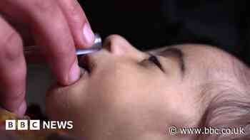 'Nothing we can do but watch babies die'