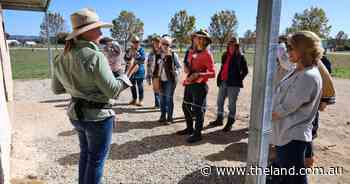 Rural women empowered by learning new farming skills