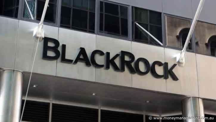 No relief in sight for risk assets: BlackRock