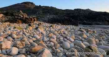 The hidden West Country 'Dinosaur Egg Beach' filled with prehistoric wonders