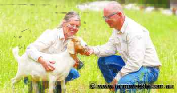 Stacked enterprises could be key for many