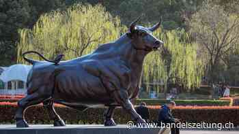 Vontobel prophezeit das Comeback von China