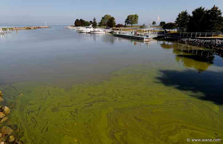 Judge sets a deadline to put Lake Erie on pollution diet