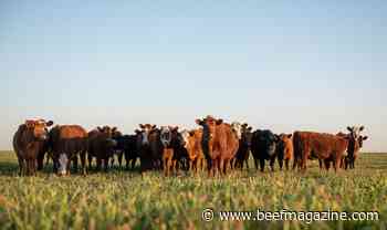 U.S. Roundtable for Sustainable Beef concludes 2023 General Assembly Meeting