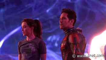 'Ant-Man: Quantumania': Streaming Release Date and How to Watch From Anywhere     - CNET